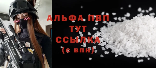 трава Надым