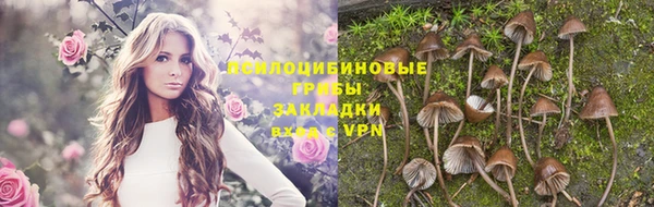 прущий лед Белокуриха